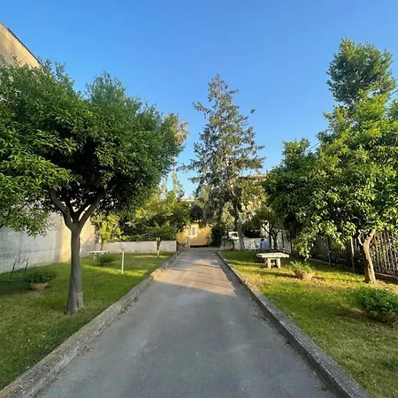 L'anfiteatro Di Πομπηία