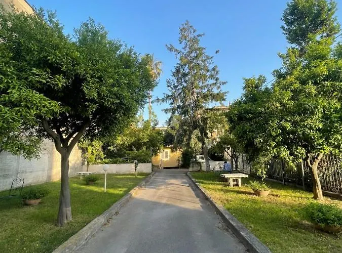 L'anfiteatro Di Pompei